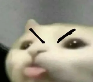 🤪 emoji котеки🐾😍 @lixqwsi_ll Telegram sticker 7 of 47