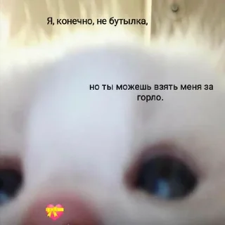 Sticker from котеки
