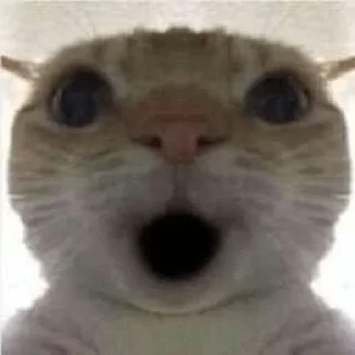 😲 emoji котеки🐾😍 @lixqwsi_ll Telegram sticker 9 of 47