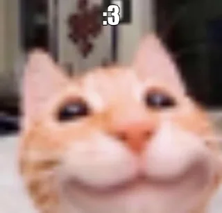 😁 emoji котеки🐾😍 @lixqwsi_ll Telegram sticker 10 of 47