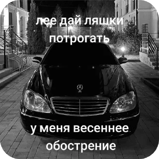 🚗 emoji яйко Telegram sticker 15 of 33
