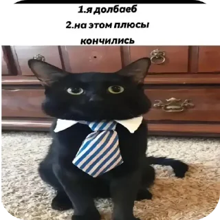 🩳 emoji яйко Telegram sticker 22 of 33