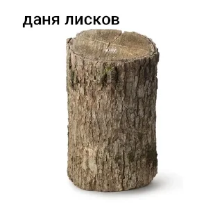 🌳 emoji яйко Telegram sticker 24 of 33
