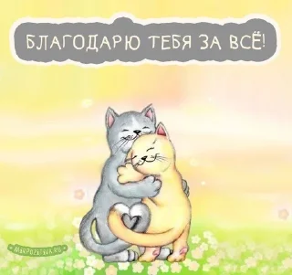 я люблю тебя sticker 2
