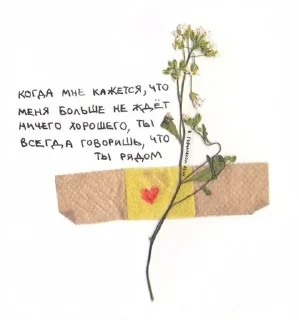 Sticker from 💘С любовью, котёнок💘