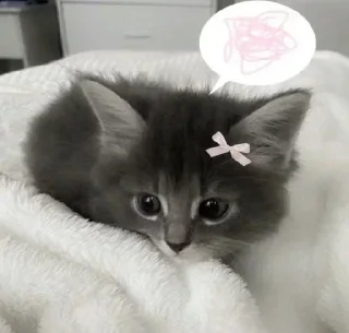 😵‍💫 emoji @Earth928B <- больше стиков Telegram sticker 14 of 65