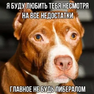 😂 emoji Да ты шо Telegram sticker 15 of 41
