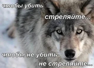 Sticker from Ты шо дон?