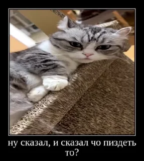 🌟 emoji forkomarunow от @Makakish1949 Telegram sticker 16 of 73