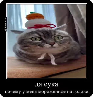 Sticker from Комары и ко