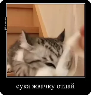 Sticker from Комары и ко