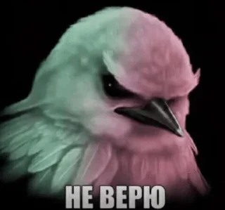 🌟 emoji Птички от @SIRRKA1 (1/2 часть если надо 2 пишите) Telegram sticker 21 of 120