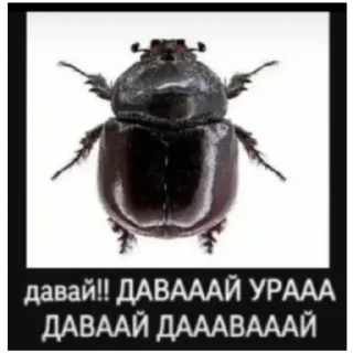 Sticker from Локальные штучки