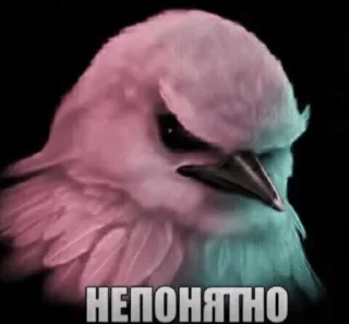 🌟 emoji Птички от @SIRRKA1 (1/2 часть если надо 2 пишите) Telegram sticker 19 of 120
