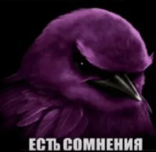 🌟 emoji Птички от @SIRRKA1 (1/2 часть если надо 2 пишите) Telegram sticker 5 of 120