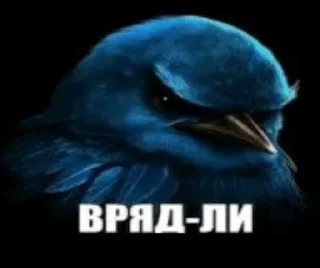 Sticker from Птички от @SIRRKA1 (1/2 часть если надо 2 пишите)