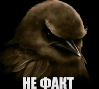 🌟 emoji Птички от @SIRRKA1 (1/2 часть если надо 2 пишите) Telegram sticker 11 of 120