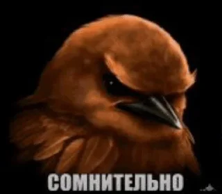 Sticker from Птички от @SIRRKA1 (1/2 часть если надо 2 пишите)