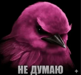 🌟 emoji Птички от @SIRRKA1 (1/2 часть если надо 2 пишите) Telegram sticker 10 of 120