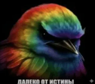 Sticker from Птички от @SIRRKA1 (1/2 часть если надо 2 пишите)
