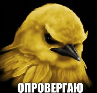 🌟 emoji Птички от @SIRRKA1 (1/2 часть если надо 2 пишите) Telegram sticker 15 of 120