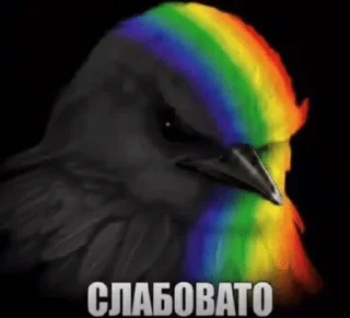 🌟 emoji Птички от @SIRRKA1 (1/2 часть если надо 2 пишите) Telegram sticker 17 of 120