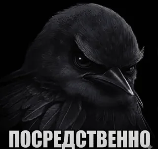 🌟 emoji Птички от @SIRRKA1 (1/2 часть если надо 2 пишите) Telegram sticker 13 of 120