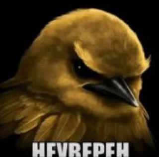 🌟 emoji Птички от @SIRRKA1 (1/2 часть если надо 2 пишите) Telegram sticker 6 of 120