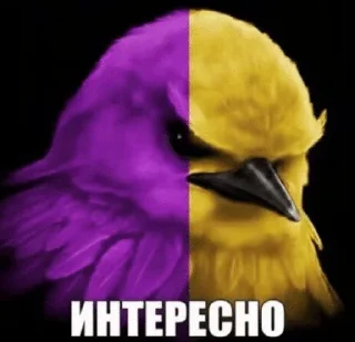 🌟 emoji Птички от @SIRRKA1 (1/2 часть если надо 2 пишите) Telegram sticker 18 of 120