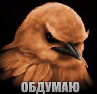 🌟 emoji Птички от @SIRRKA1 (1/2 часть если надо 2 пишите) Telegram sticker 16 of 120