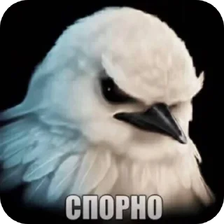 🐦 emoji Птички Telegram sticker 9 of 18