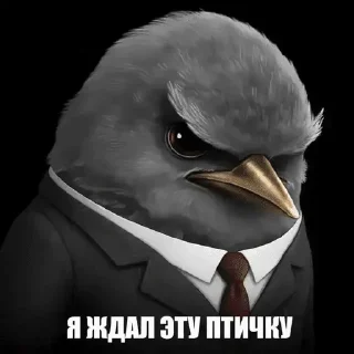 Sticker from Вряд-ли №2