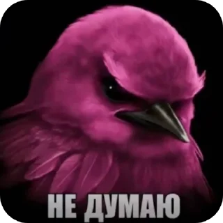 🌸 emoji Птички Telegram sticker 4 of 18