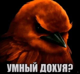 Sticker from Вряд-ли №2
