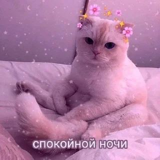 Sticker from спкнч🤍дбрутр💗
