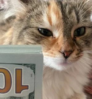 Sticker from marmylka