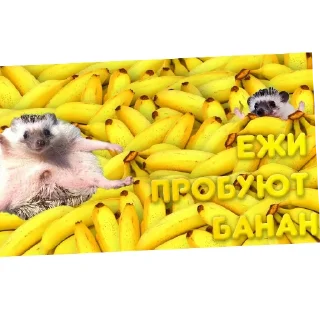 😀 emoji Vpn Telegram sticker 19 of 57