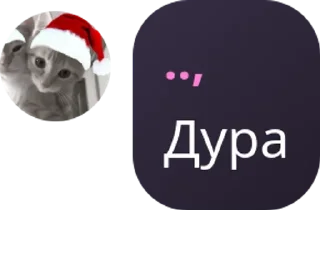 🇳🇦 emoji 🍾🍻 общайга 🍻🍾 pack by @QuotLyBot Telegram sticker 6 of 48