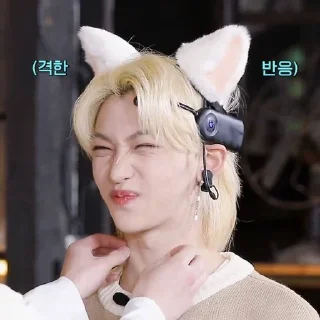 🤭 emoji я люблю феликса Telegram sticker 24 of 51