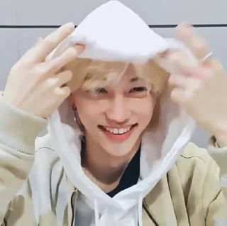😄 emoji я люблю феликса Telegram sticker 1 of 51