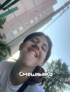 Sticker from Квинка ам хат