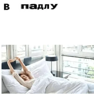 Sticker from Стики