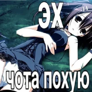 Sticker from Стики