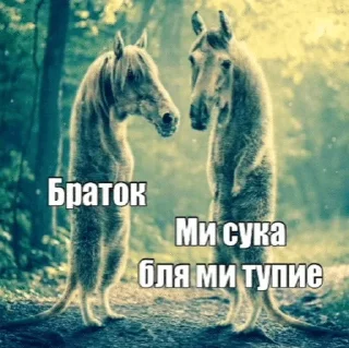Sticker from Бро ты