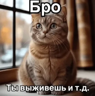 Sticker from Бро ты