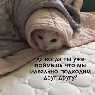 Sticker from И грустно и вкусно