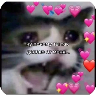 😍 emoji Я тебя люблю Telegram sticker 6 of 15