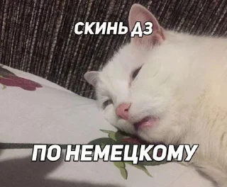 Sticker from Скинь дз