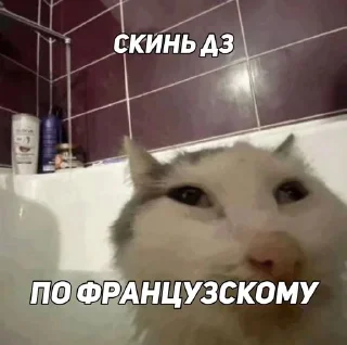 Sticker from Скинь дз