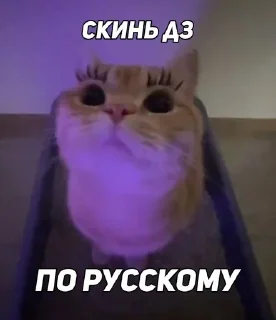 Sticker from Скинь дз